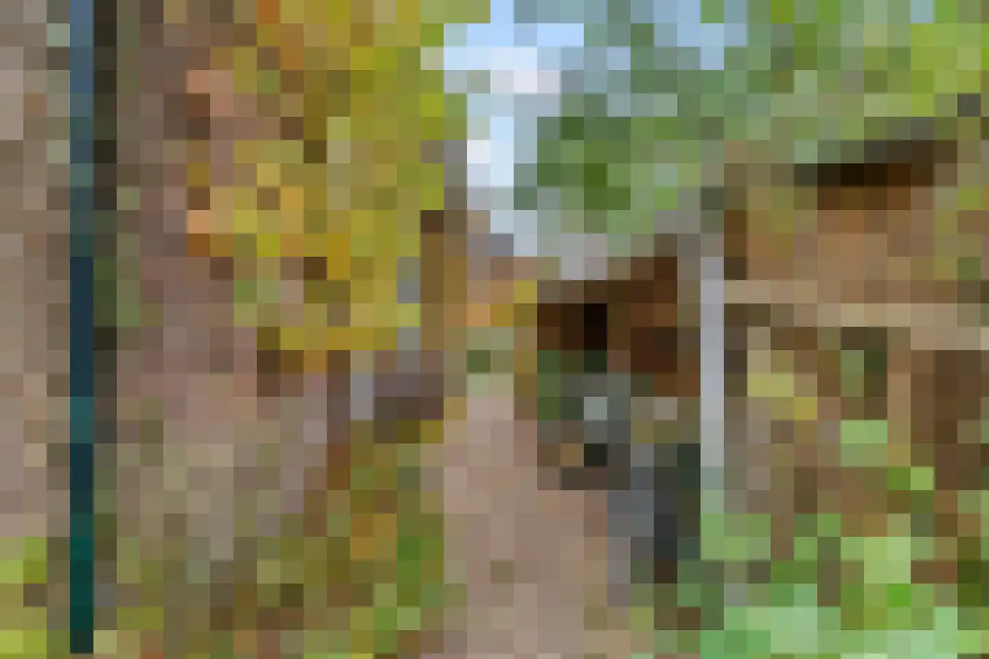 Groeneweg 8 Renkum thumbnail 49