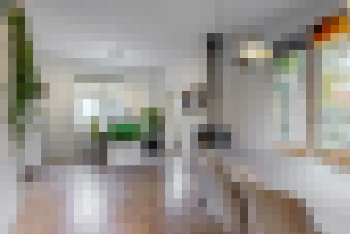 Groeneweg 8 Renkum thumbnail 5