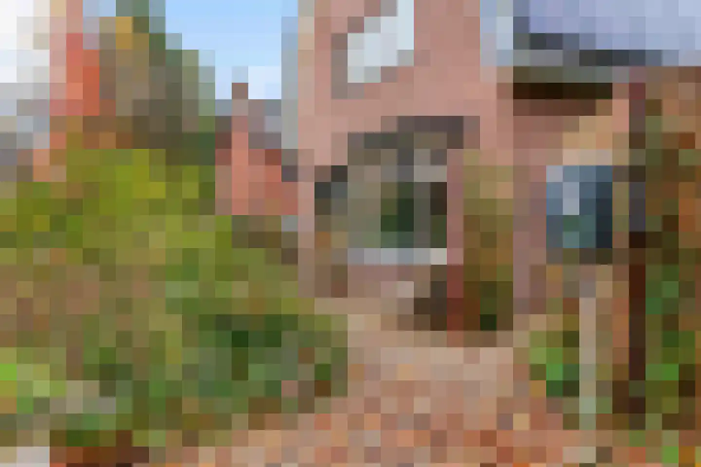 Groeneweg 8 Renkum thumbnail 51