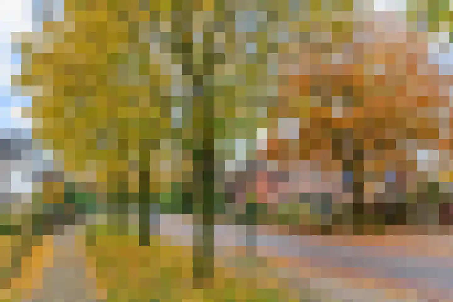 Groeneweg 8 Renkum thumbnail 56
