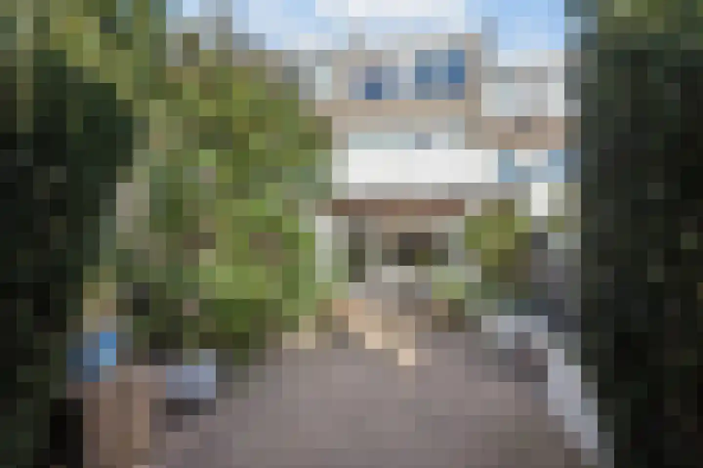 Groeneweg 83 Rhenen thumbnail 30