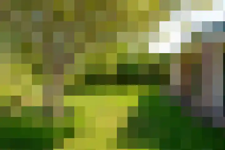 Groeneweg 85 's-Gravenzande thumbnail 34