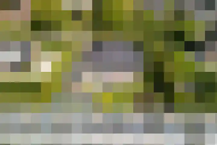 Groeneweg 85 's-Gravenzande thumbnail 37