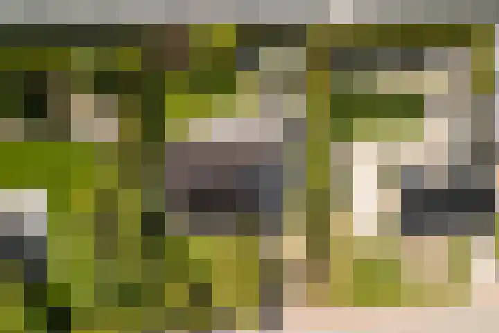 Groeneweg 85 's-Gravenzande thumbnail 38