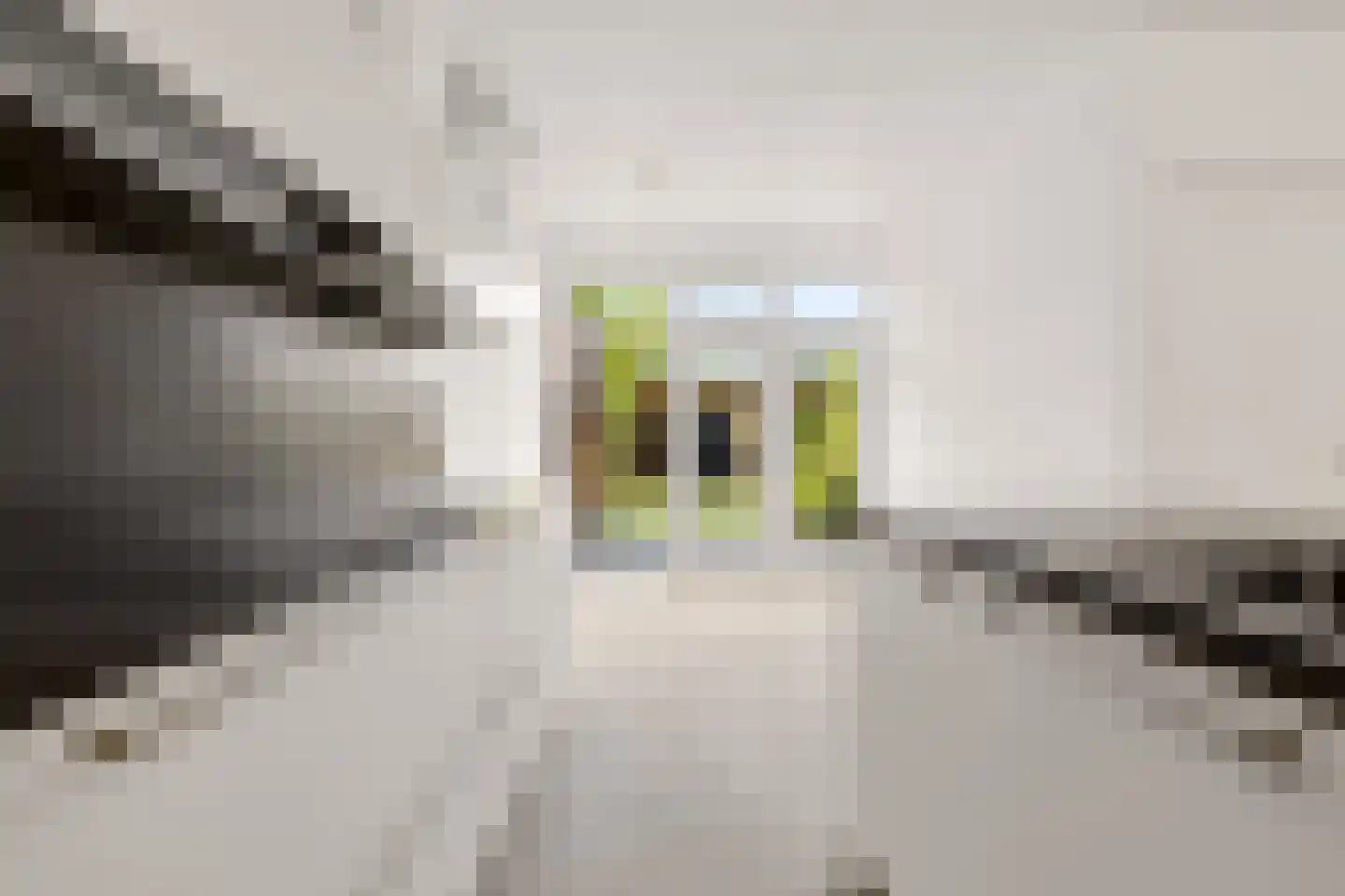 Groeneweg 87 A Zwolle thumbnail 16