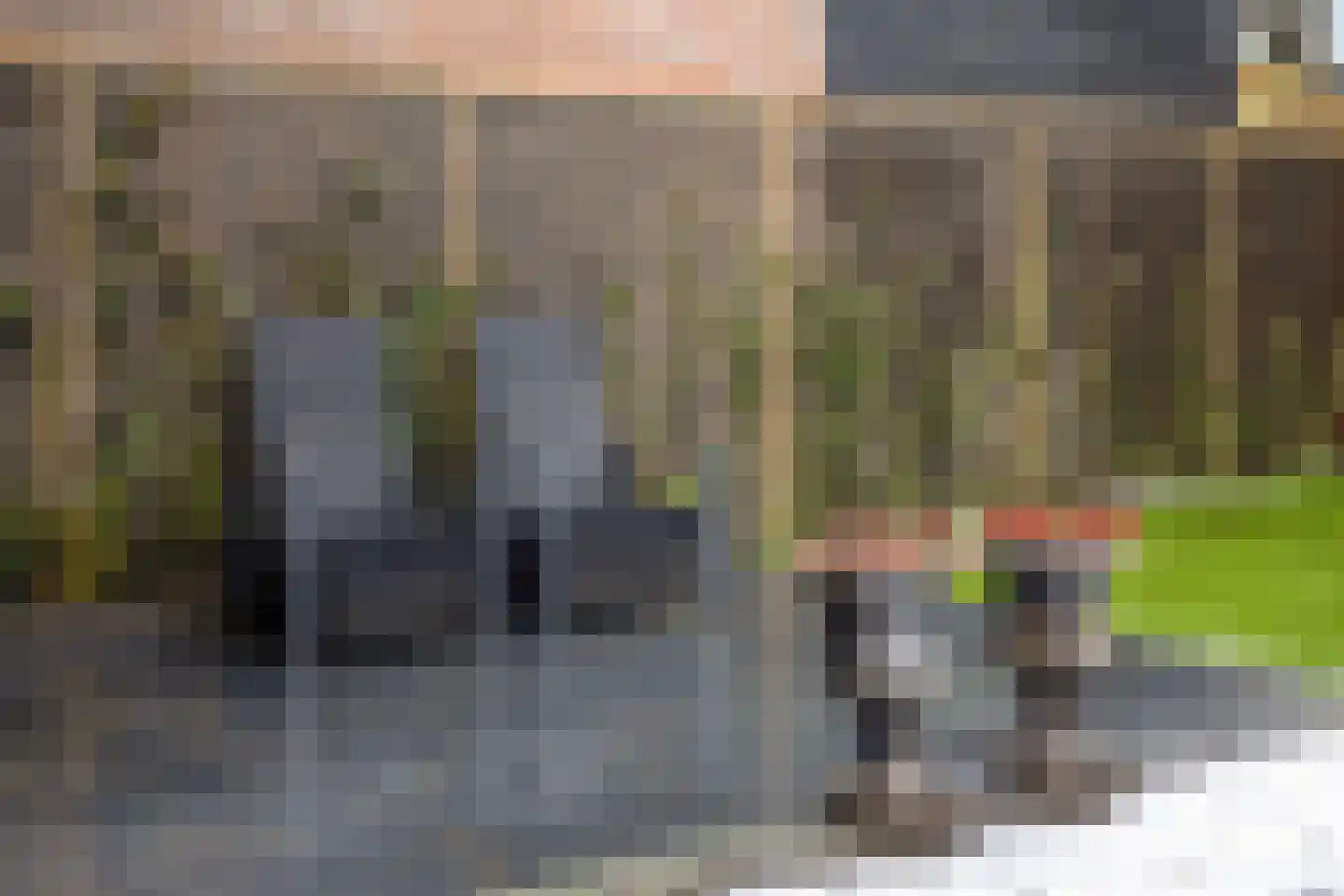 Groeneweg 87 A Zwolle thumbnail 24