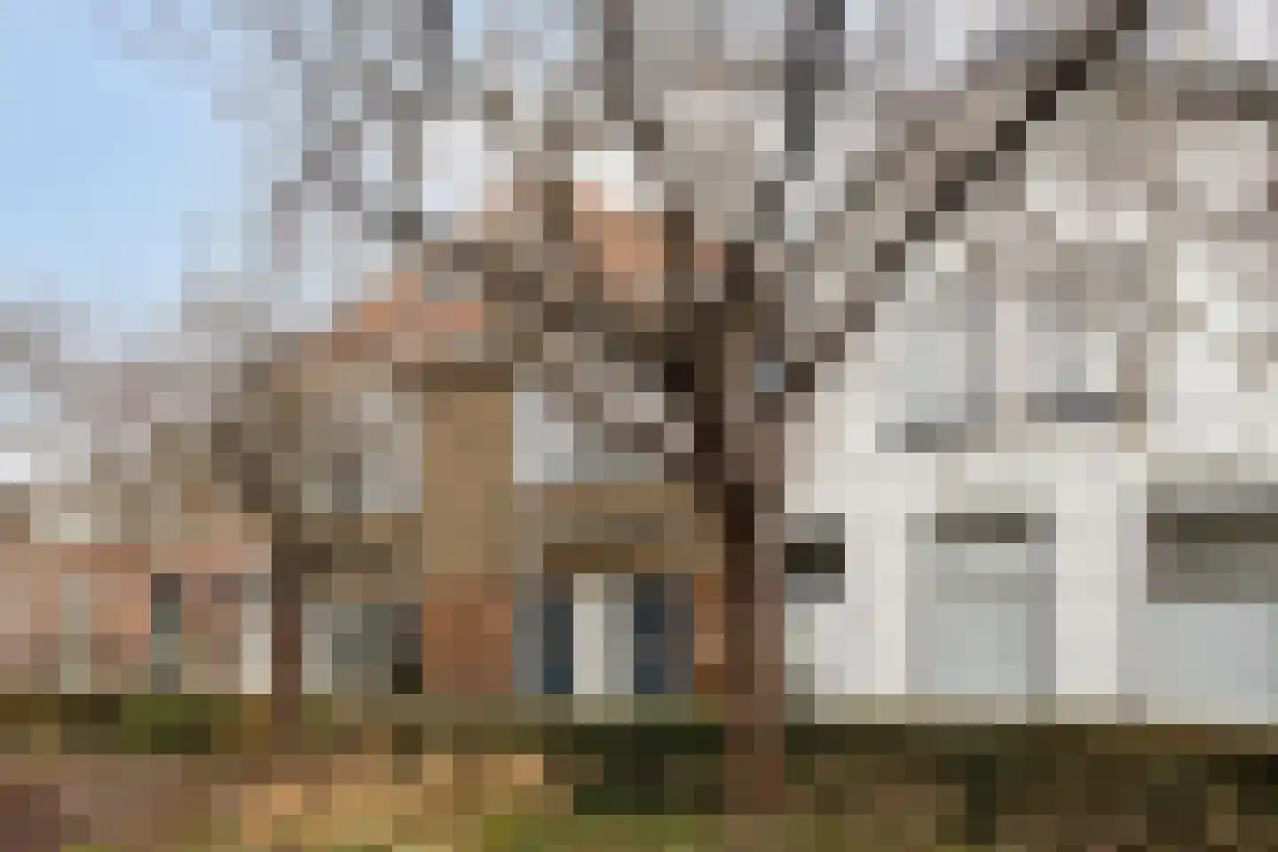 Groeneweg 87 A Zwolle thumbnail 35