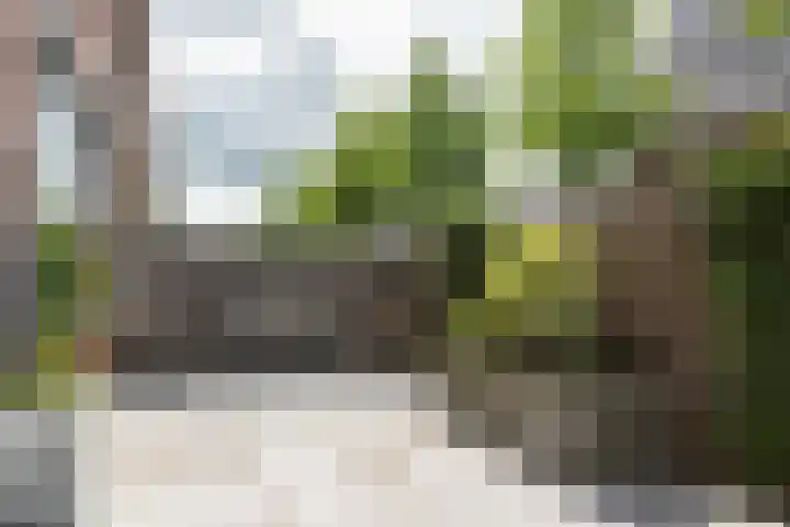 Groeneweg 87 Bergschenhoek thumbnail 26