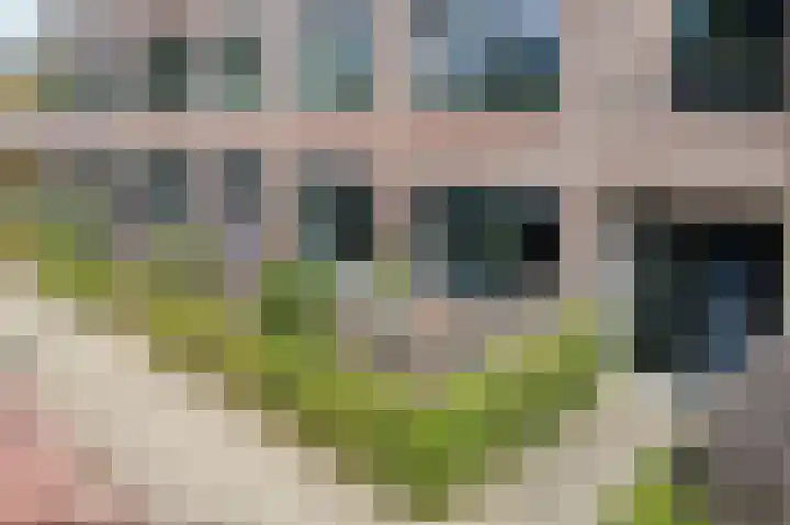 Groeneweg 87 Bergschenhoek thumbnail 4