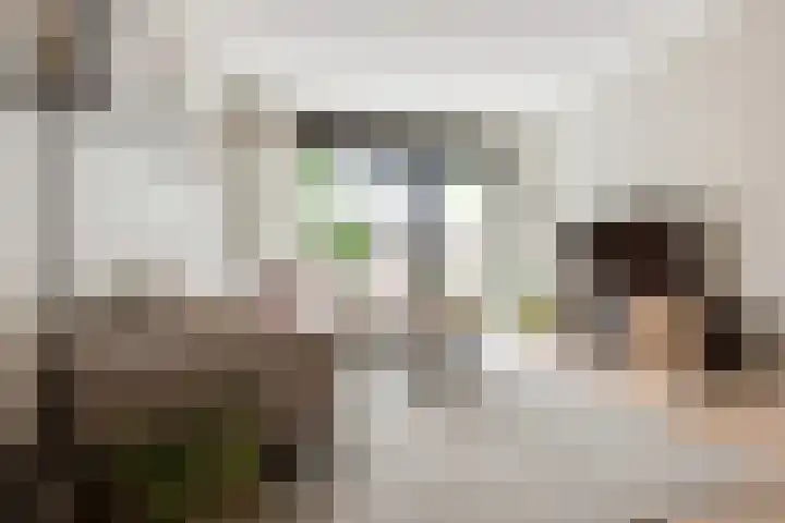 Groeneweg 87 Bergschenhoek thumbnail 9