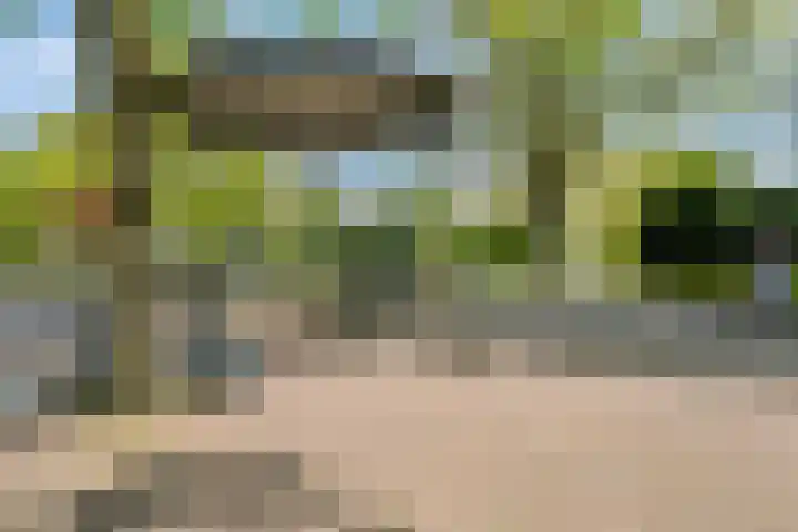 Groeneweg 87 Gouda thumbnail 22
