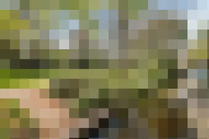 Groeneweg 87 Gouda thumbnail 23