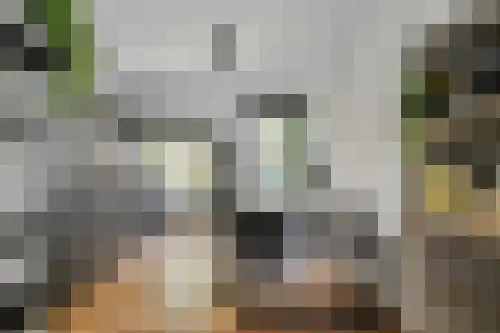 Groeneweg 87 Gouda thumbnail 9