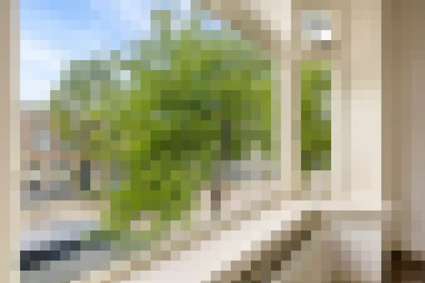 Groeneweg 87 Zwolle thumbnail 11