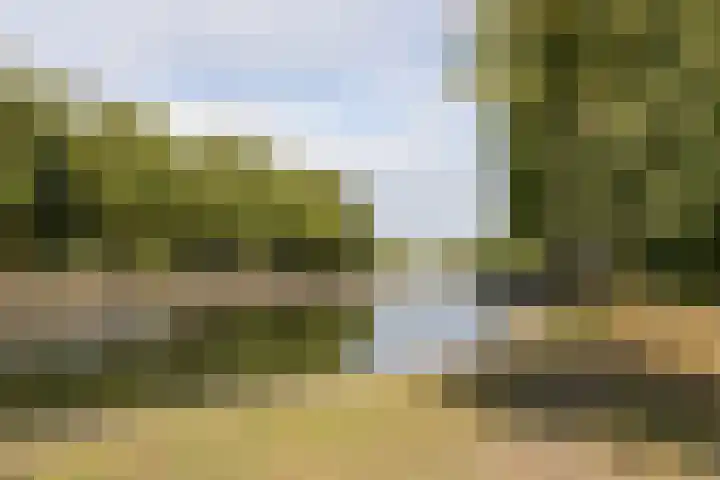 Groeneweg 89 B Utrecht thumbnail 25