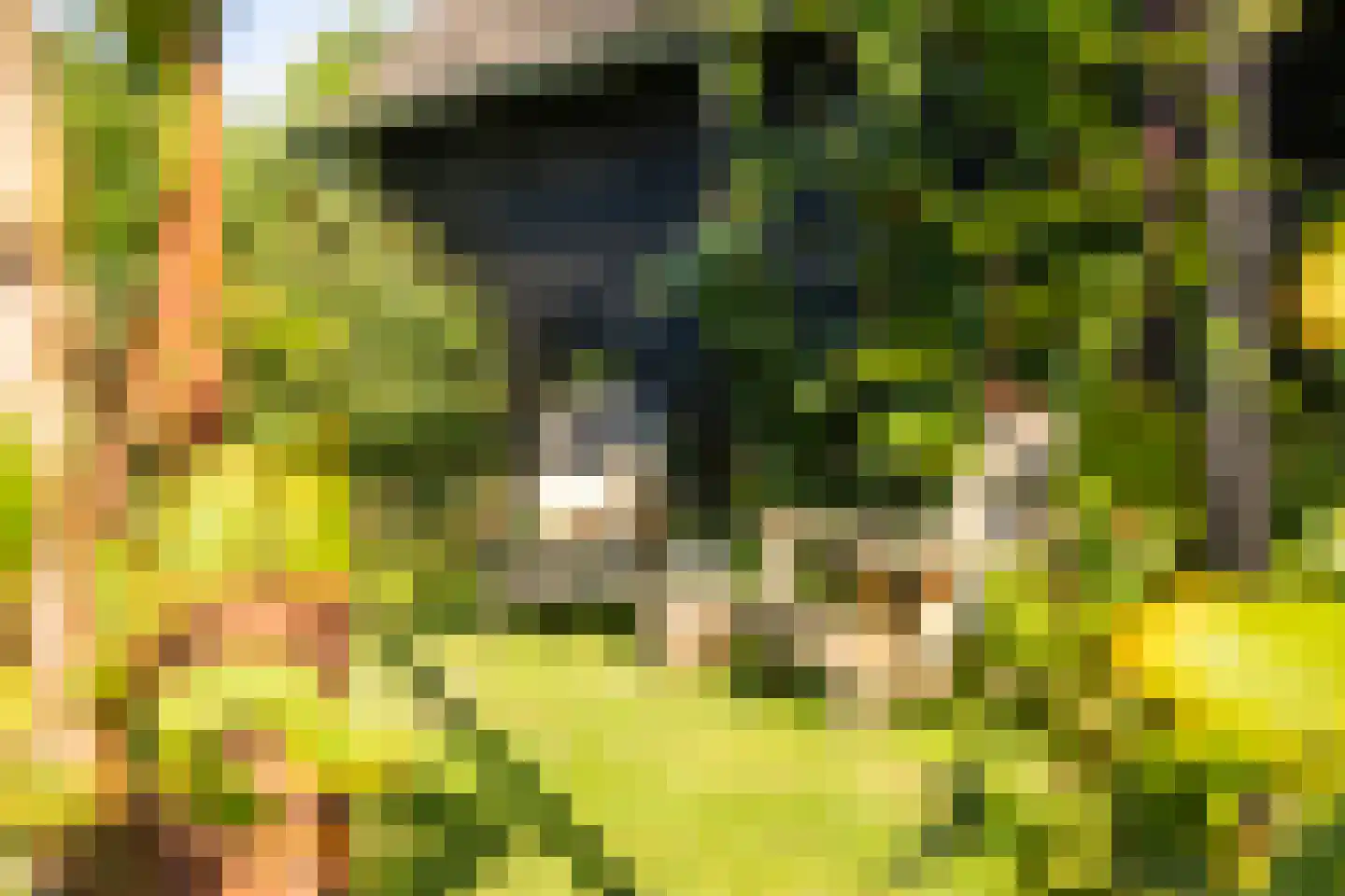 Groeneweg 9 Ermelo thumbnail 10