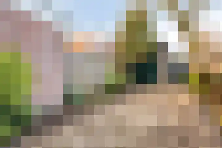 Groenewege 8 Noordwijkerhout thumbnail 20
