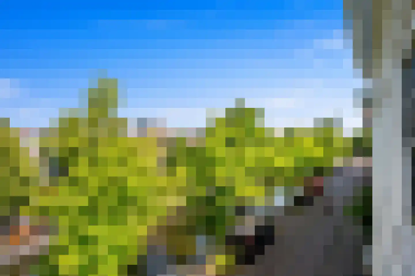 Groenewegje 126 A Den Haag thumbnail 12