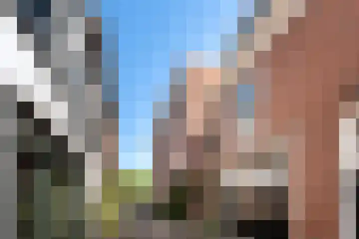Groenewegje 166 B Den Haag thumbnail 20