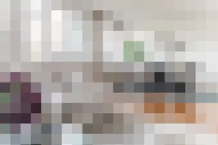 Groenewegje 170 A Den Haag thumbnail 16