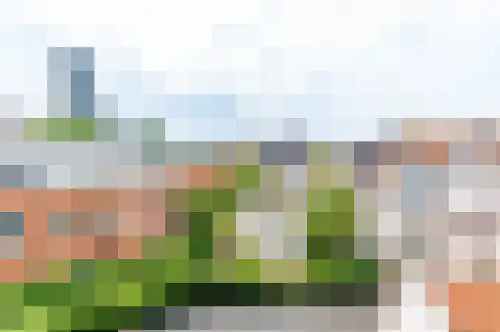 Groenewegje 170 A Den Haag thumbnail 29