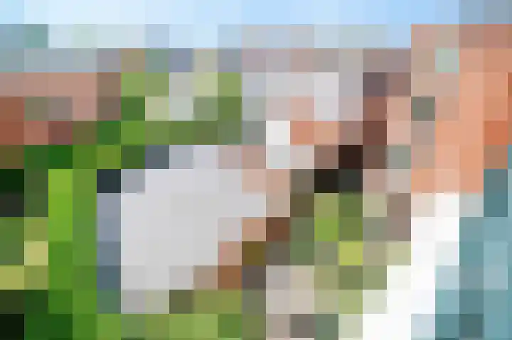 Groenewegje 170 A Den Haag thumbnail 30
