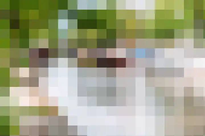 Groenewegje 170 A Den Haag thumbnail 42