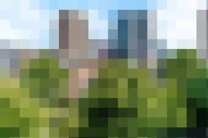 Groenewegje 170 A Den Haag thumbnail 45