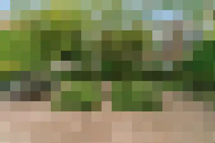 Groenewegje 76 Den Haag thumbnail 10