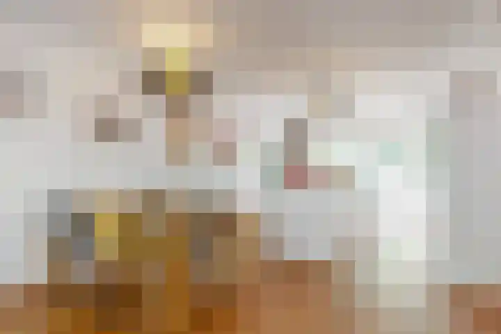 Groenewegje 76 Den Haag thumbnail 11