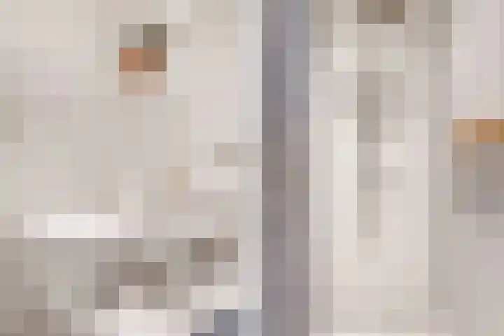 Groenewegje 76 Den Haag thumbnail 21
