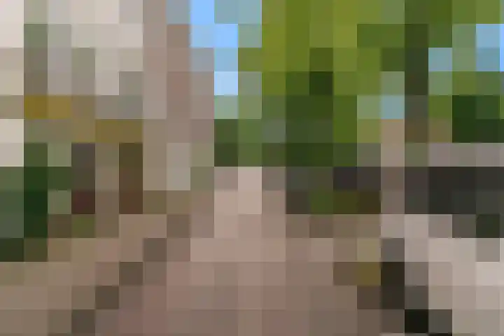 Groenewegje 76 Den Haag thumbnail 25