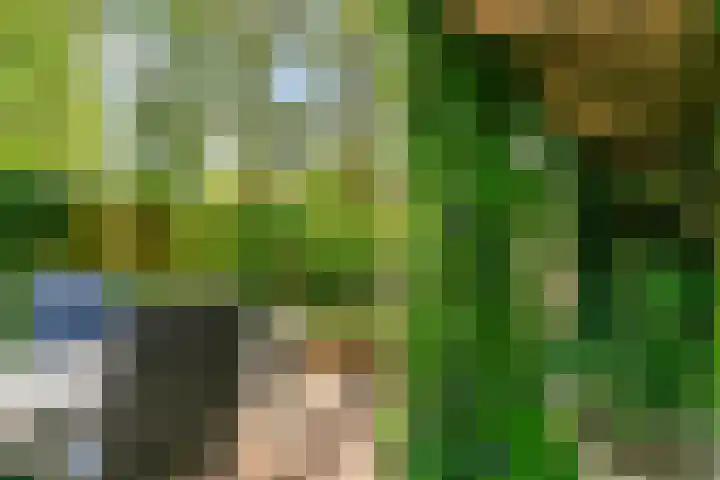 Groenewegje 76 Den Haag thumbnail 7