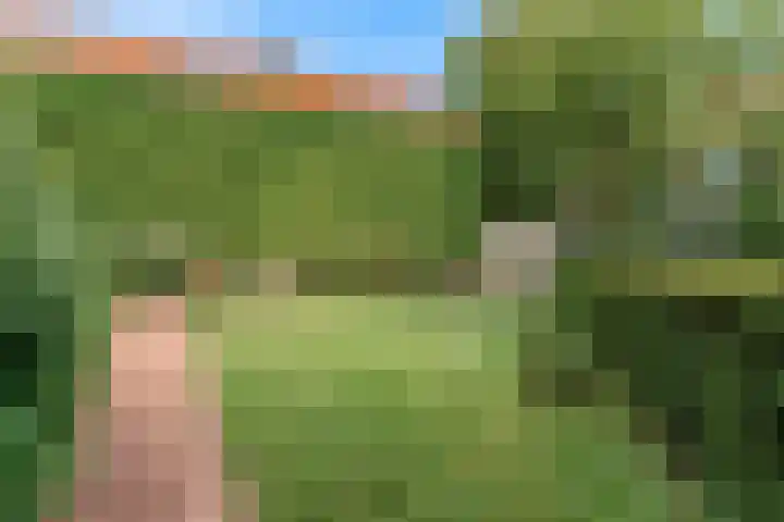 Groenewegje 76 Den Haag thumbnail 9