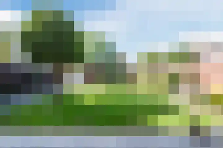 Groeneweide 1 Duiven thumbnail 10