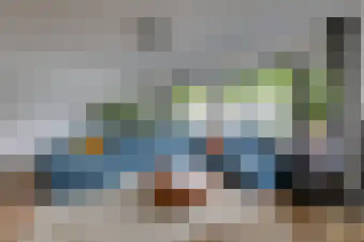 Groeneweide 1 Duiven thumbnail 14