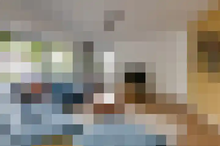 Groeneweide 1 Duiven thumbnail 17