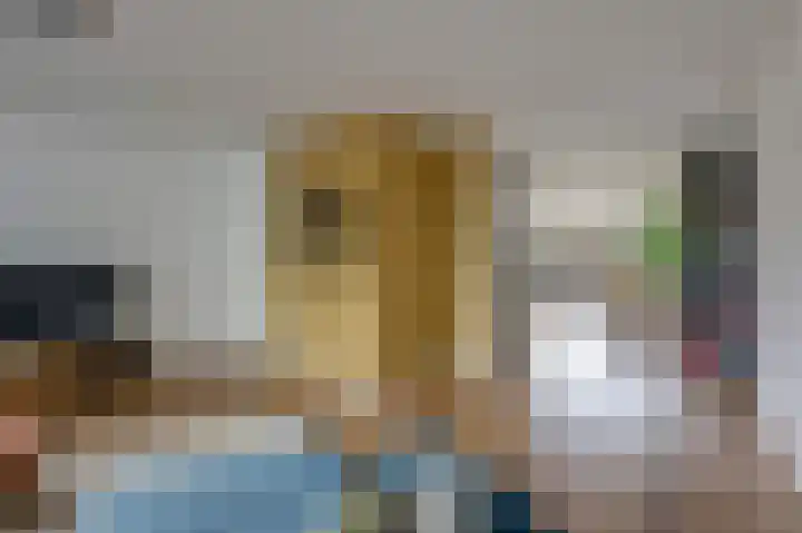 Groeneweide 1 Duiven thumbnail 18
