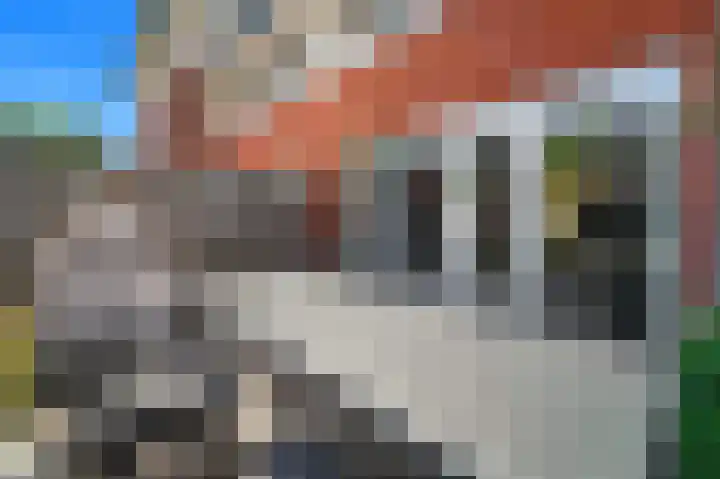 Groeneweide 1 Duiven thumbnail 19