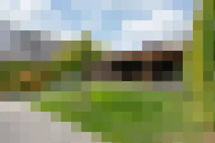 Groeneweide 1 Duiven foto 2