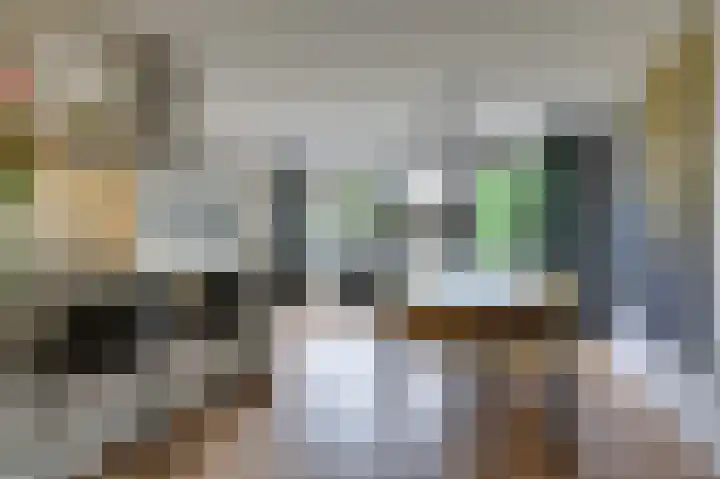 Groeneweide 1 Duiven thumbnail 21