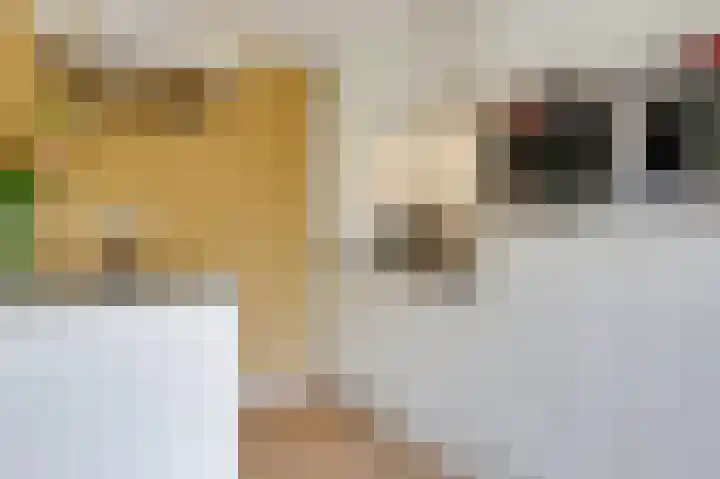 Groeneweide 1 Duiven thumbnail 25
