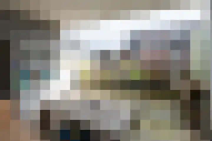 Groeneweide 1 Duiven thumbnail 27