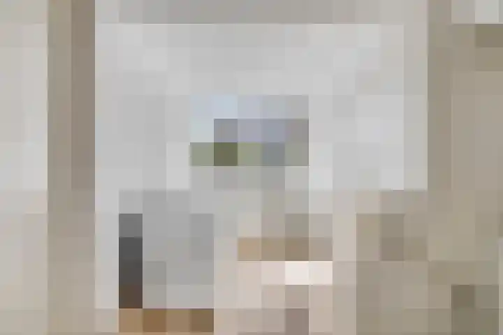 Groeneweide 1 Duiven thumbnail 28