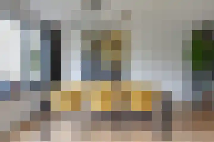 Groeneweide 1 Duiven thumbnail 29