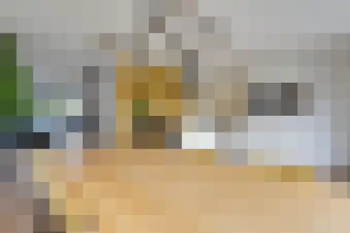 Groeneweide 1 Duiven thumbnail 30