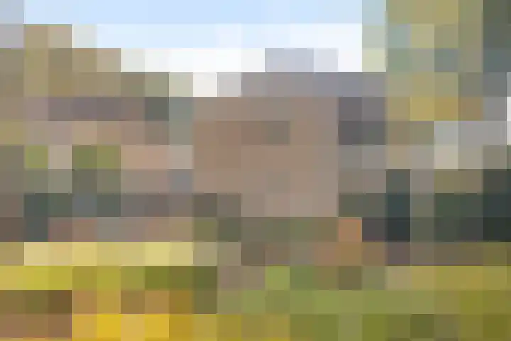 Groeneweide 1 Duiven thumbnail 39
