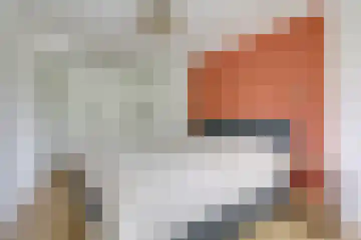 Groeneweide 1 Duiven thumbnail 40