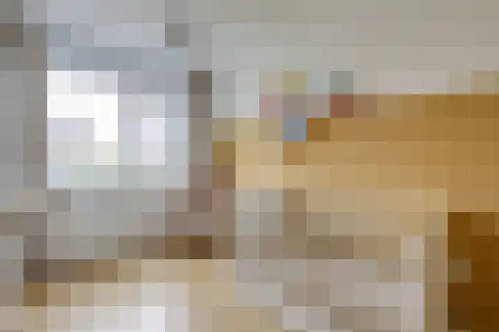 Groeneweide 1 Duiven thumbnail 41