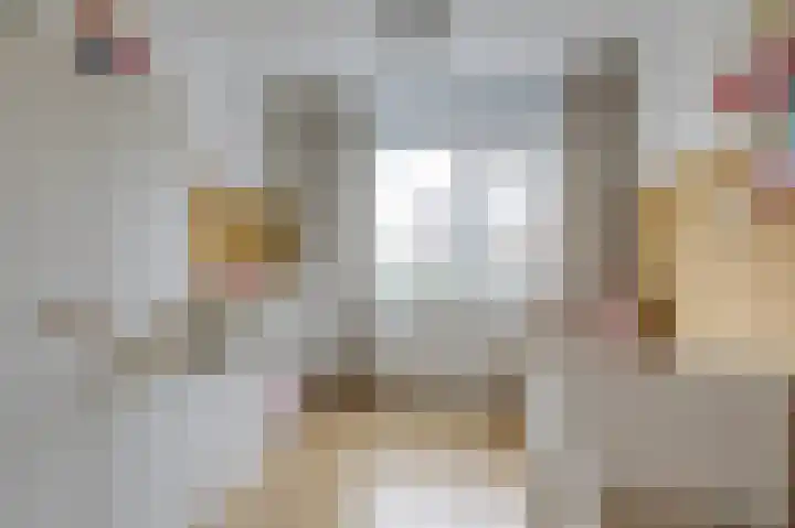 Groeneweide 1 Duiven thumbnail 42